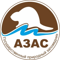 Азас